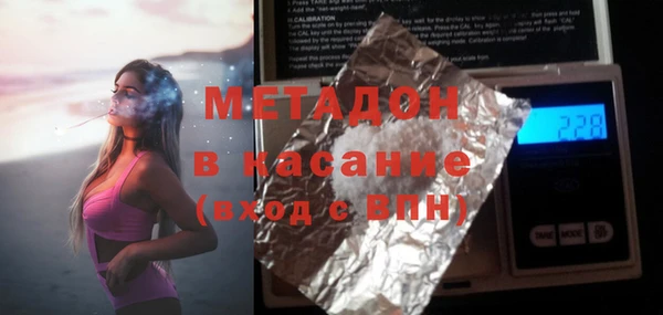 прущие грибы Волоколамск