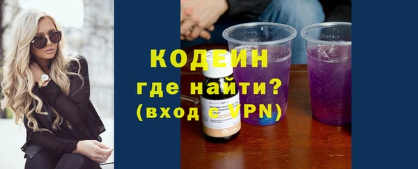 прущие грибы Волоколамск
