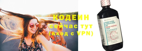 индика Володарск