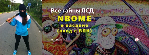 индика Володарск