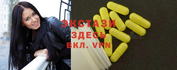 индика Володарск