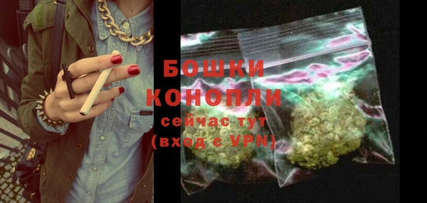 индика Володарск