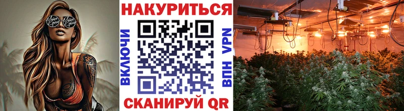 hydra ссылки  Каменск-Шахтинский  МАРИХУАНА сатива 
